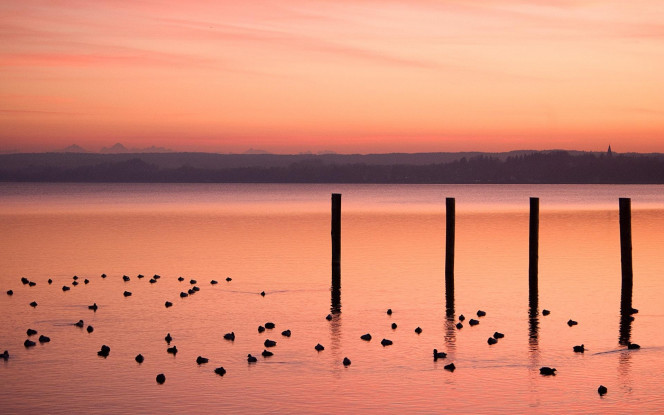 一张美味的图片 &middot; #1240