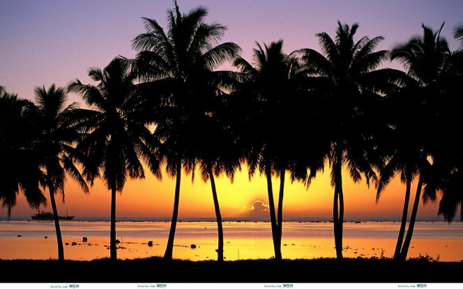 一张美味的图片 &middot; #1465