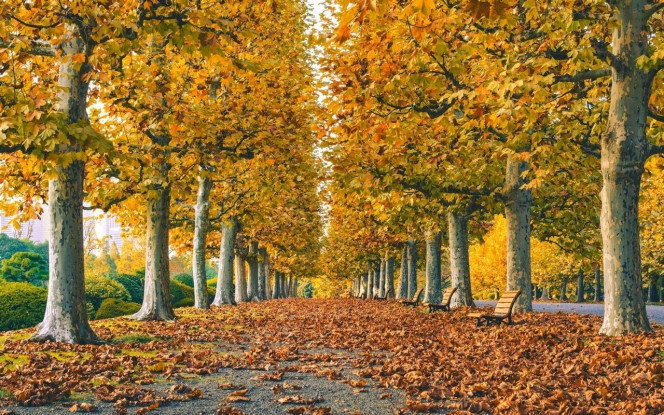 一张美味的图片 &middot; #4026