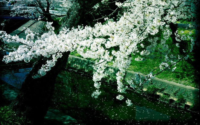 一张美味的图片 &middot; #3091