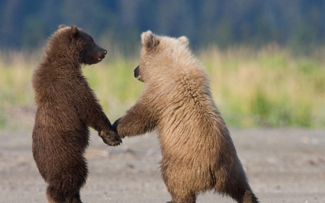 一张美味的图片 &middot; #3872