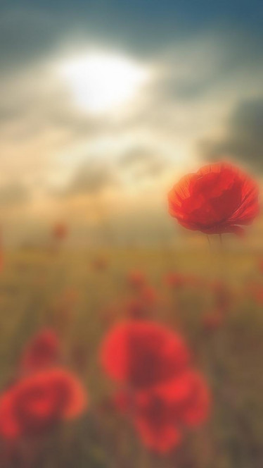 一张美味的图片 &middot; #175