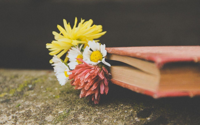 一张美味的图片 &middot; #4252