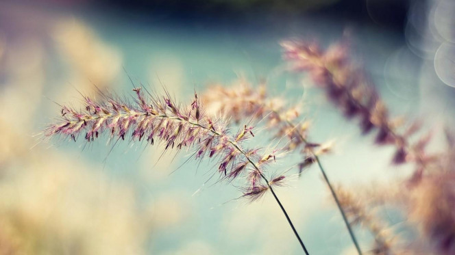 一张美味的图片 &middot; #261