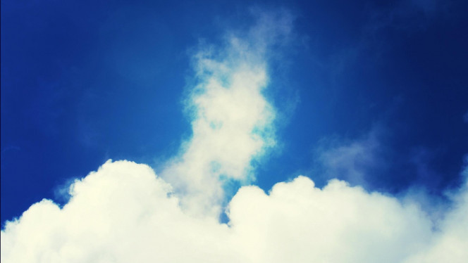 一张美味的图片 &middot; #2979