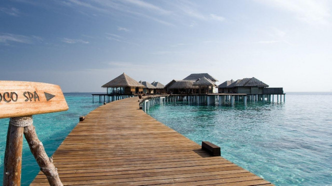 一张美味的图片 &middot; #2823