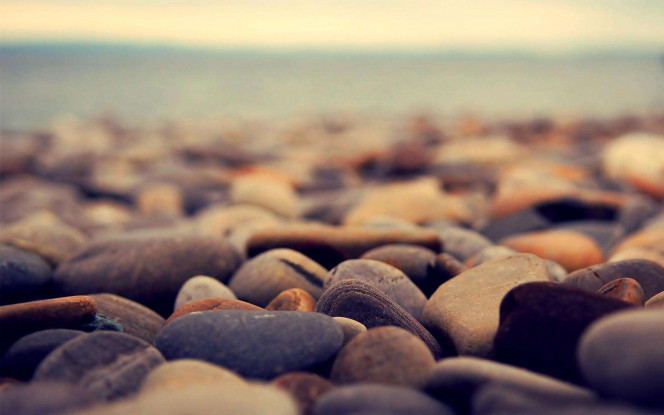 一张美味的图片 &middot; #32