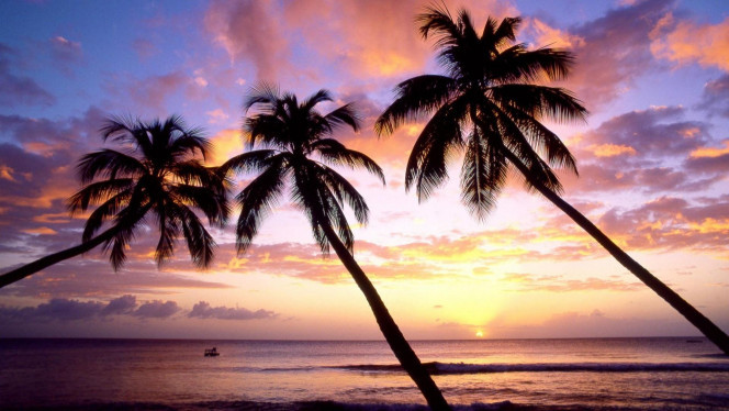 一张美味的图片 &middot; #4233