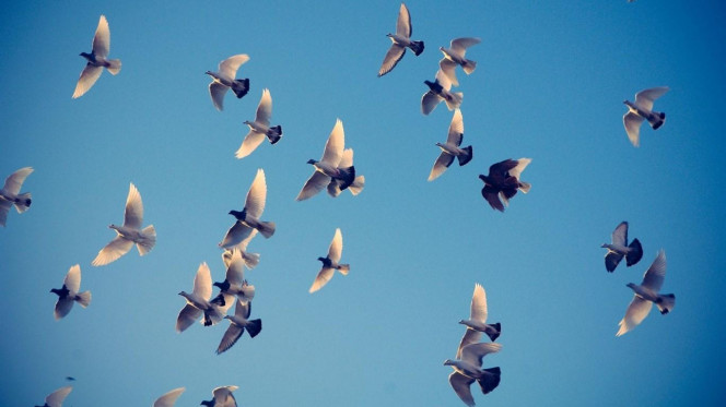 一张美味的图片 &middot; #2695