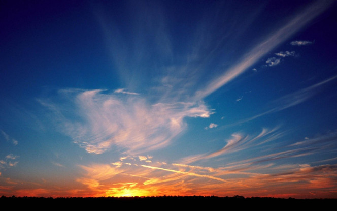 一张美味的图片 &middot; #1035