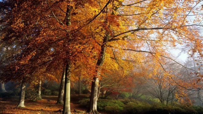 一张美味的图片 &middot; #4133