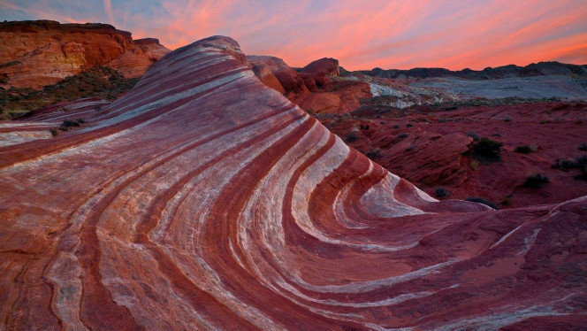 一张美味的图片 &middot; #1737