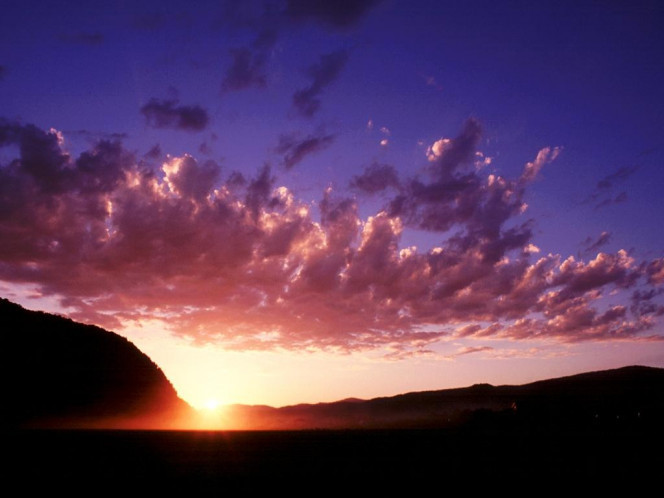 一张美味的图片 &middot; #958