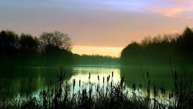 一张美味的图片 &middot; #2922