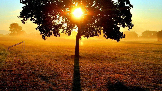 一张美味的图片 &middot; #1931