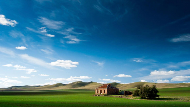 一张美味的图片 &middot; #2265