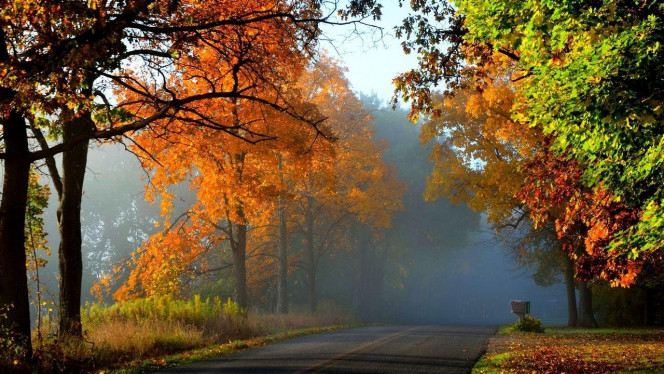 一张美味的图片 &middot; #4200