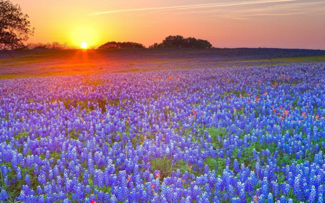 一张美味的图片 &middot; #2652