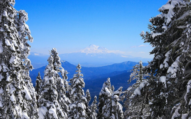 一张美味的图片 &middot; #578