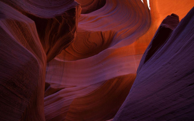 一张美味的图片 &middot; #2178