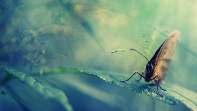 一张美味的图片 &middot; #3518