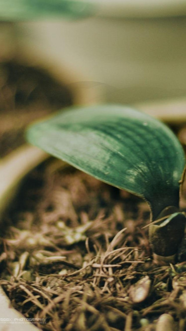 一张美味的图片 &middot; #191