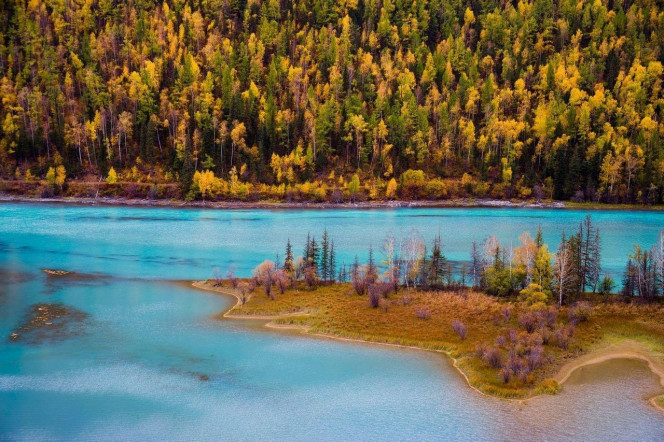 一张美味的图片 &middot; #1969