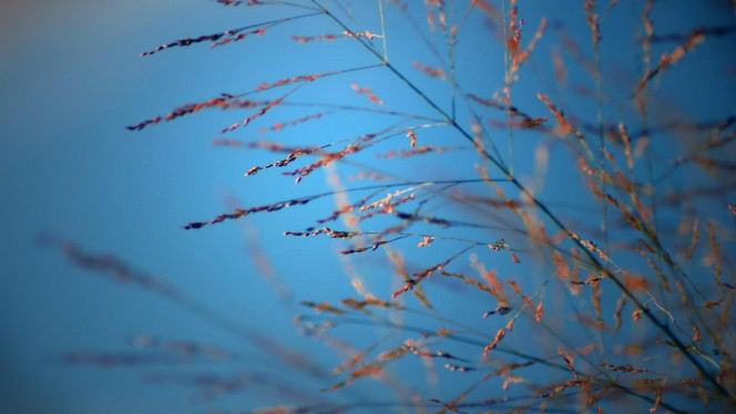 一张美味的图片 &middot; #3909