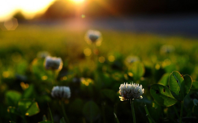 一张美味的图片 &middot; #2744