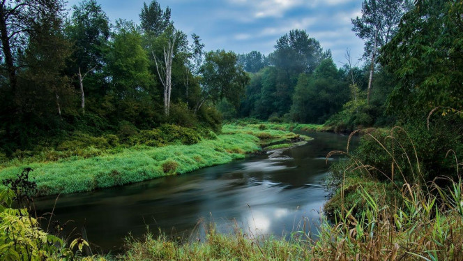 一张美味的图片 &middot; #4454