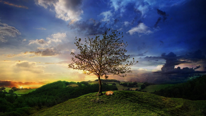 一张美味的图片 &middot; #4255