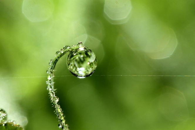 一张美味的图片 &middot; #2855