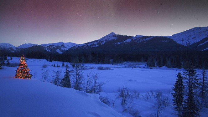 一张美味的图片 &middot; #3201