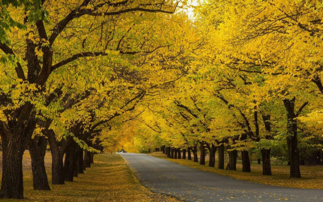 一张美味的图片 &middot; #4011