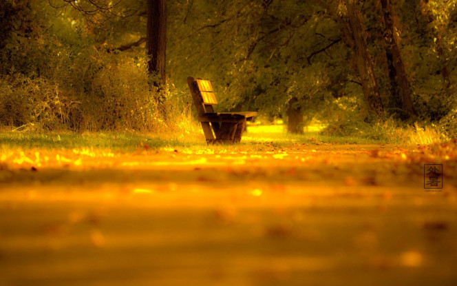 一张美味的图片 &middot; #2008