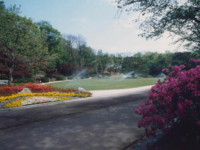 一张美味的图片 &middot; #890