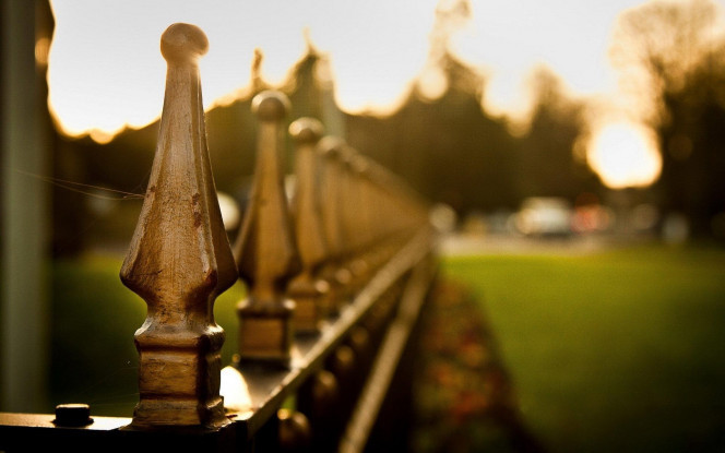 一张美味的图片 &middot; #774