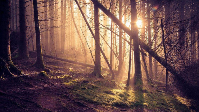 一张美味的图片 &middot; #2945