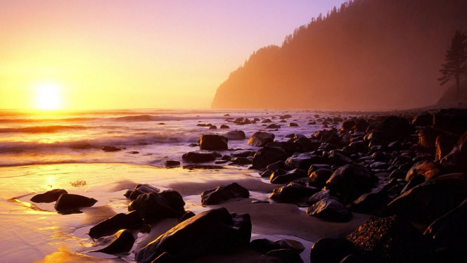 一张美味的图片 &middot; #4228