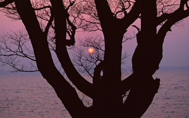 一张美味的图片 &middot; #2202