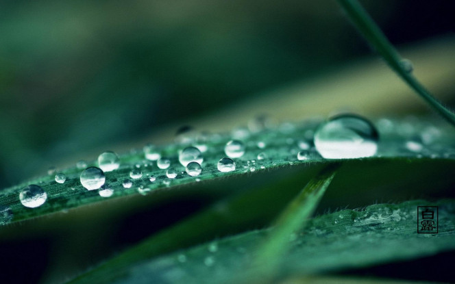 一张美味的图片 &middot; #1740