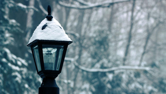 一张美味的图片 &middot; #3814