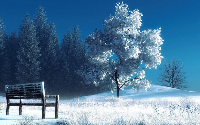 一张美味的图片 &middot; #2014