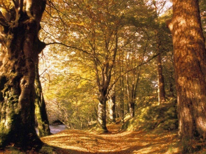 一张美味的图片 &middot; #1014