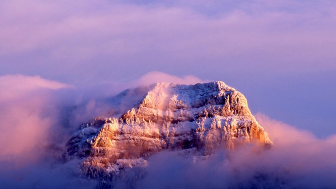 一张美味的图片 &middot; #4504