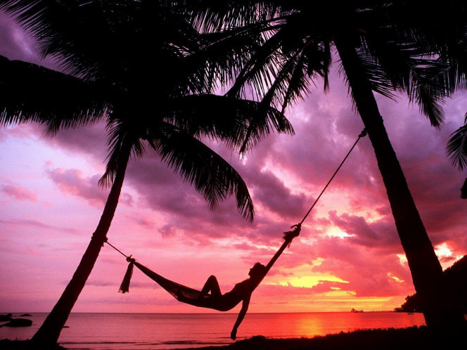 一张美味的图片 &middot; #1938