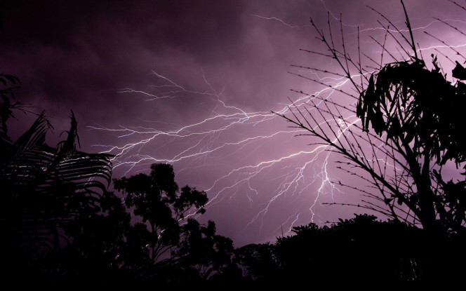 一张美味的图片 &middot; #2346