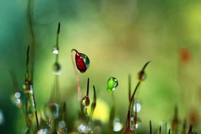 一张美味的图片 &middot; #2874