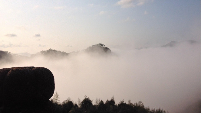 一张美味的图片 &middot; #3661