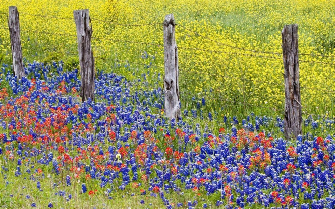 一张美味的图片 &middot; #2223